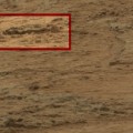 Mars Dino Spine