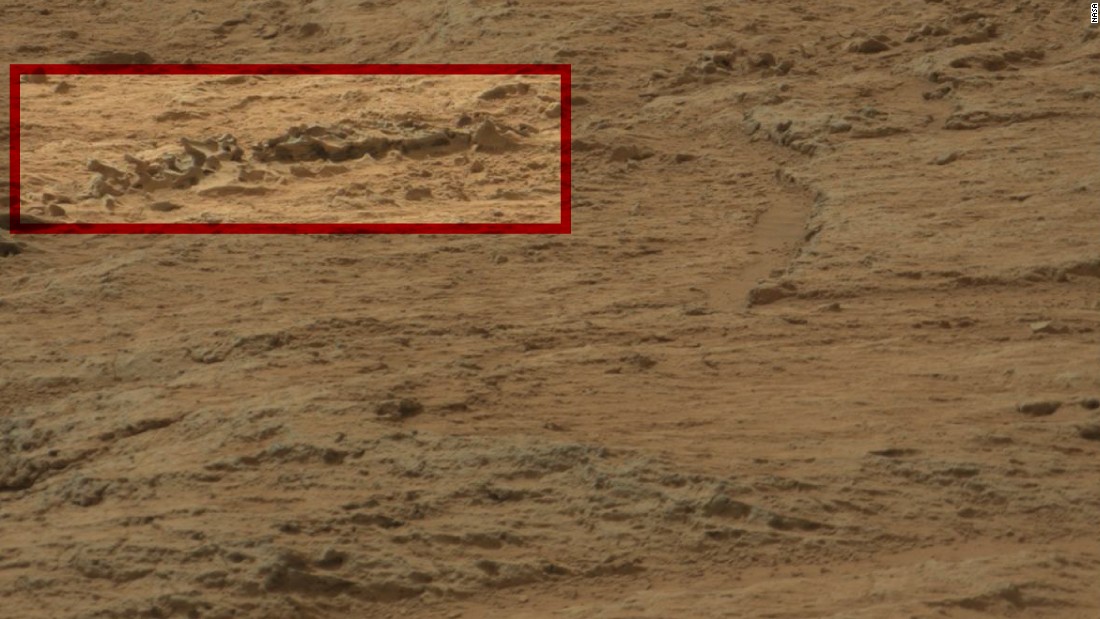  To the uninitiated, it looks like series of rocks protruding from the ground. But alien hunters say it&#39;s a fossilized dinosaur spine.