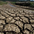 View of the bed of Jacarei river dam, in Piracaia, during a drought affecting Sao Paulo state, Brazil on November 19, 2014. The Jacarei river dam is part of the Sao Paulo's Cantareira system of dams, which supplies water to 45% of the metropolitan region of Sao Paulo --20 million people-- and is now at historic low. AFP PHOTO / NELSON ALMEIDA        (Photo credit should read NELSON ALMEIDA/AFP/Getty Images)