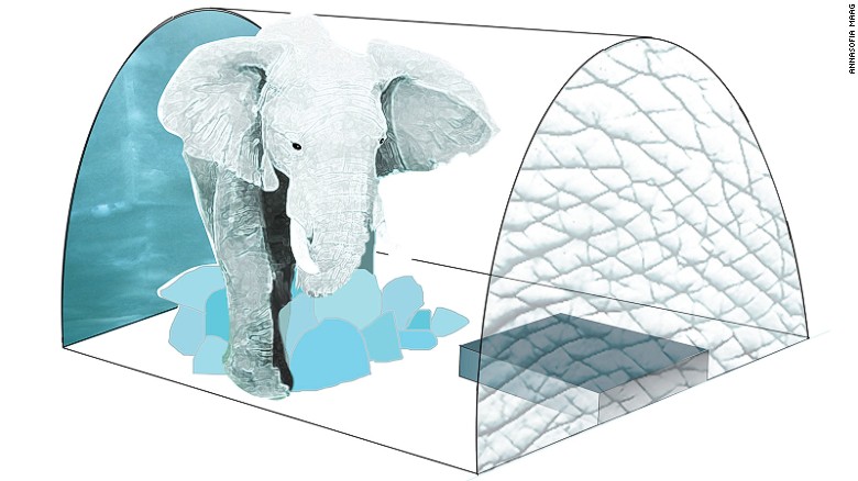 In one suite, Scandinavian artist AnnaSofia Maag will create a life-size ice sculpture of an African elephant. &lt;br /&gt;