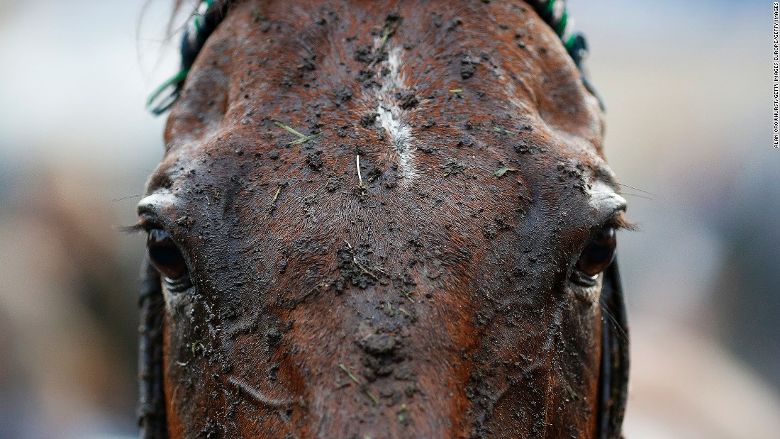 Female jockey poised to reign in sport of kings