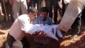 Drowned Syrian toddler laid to rest