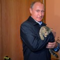 Putin holds a cat