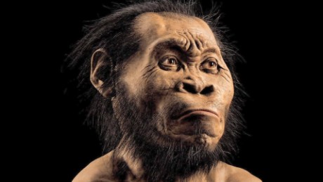  human ancestor species discovered south africa mckenzie pkg_00002221