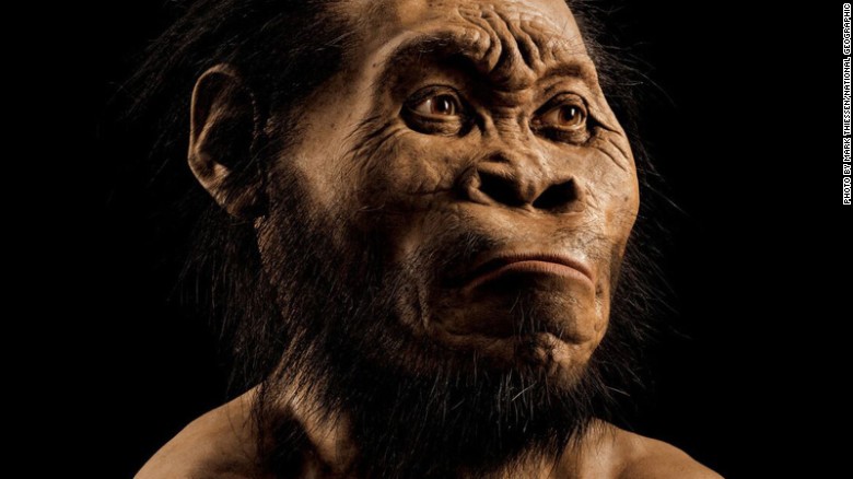 Scientists say they've discovered a new species of human relative in the Rising Star cave in the Cradle of Humankind world heritage site outside Johannesburg