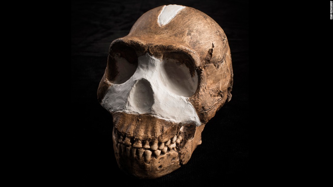Meet Homo naledi