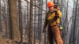 California wildfires tree fallers orig_00001713.jpg