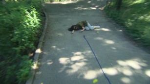 dog fainting test moos pkg erin_00014004.jpg