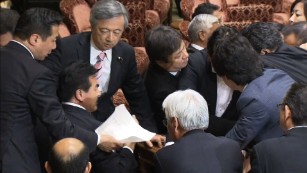 Japanese lawmakers get physical