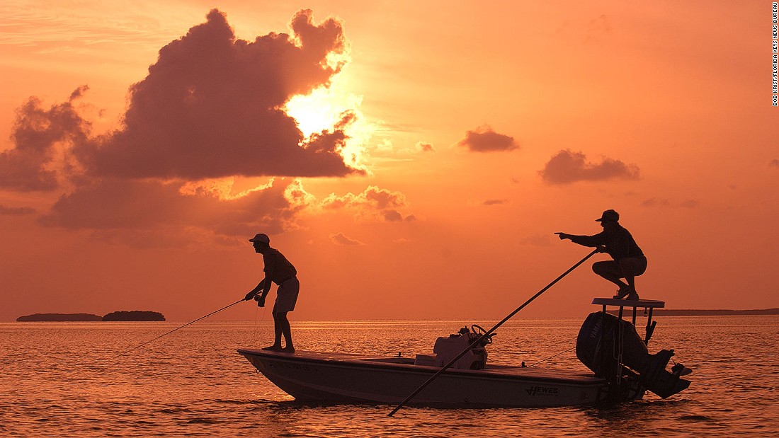 Best Stops On The Overseas Highway Islamorada