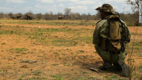 New defense in the rhino wars