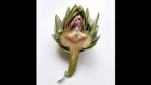 The artichoke is considered to be the best soup vegetable in French cuisine. This just has to be the focal point for the soup created by Chef Alexis Couquelet for "Soup for Syria".