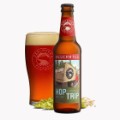 12 great beers for the fall