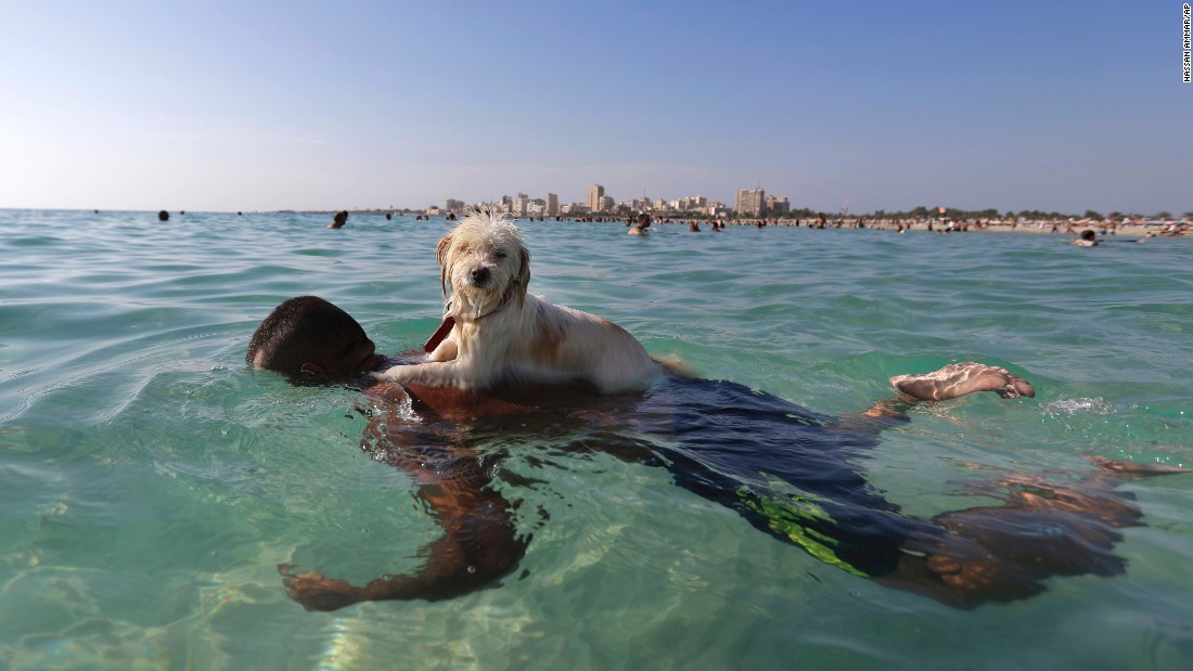 Um cão de monta na parte de trás de um homem nadando em Tiro, no Líbano, no domingo, 20 de setembro.