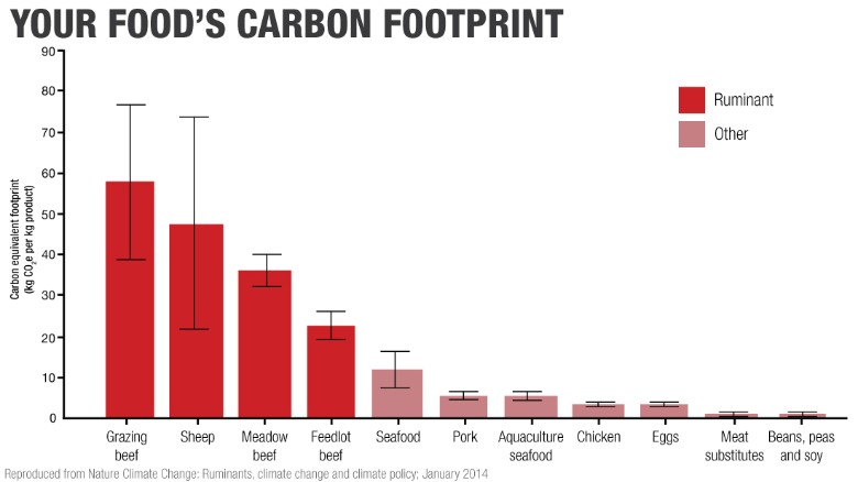 Carbon footprint of beef