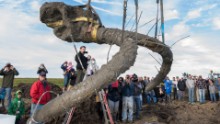 mammoth skeleton Michigan farmer orig vstan_00000000.jpg