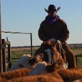 waggoner cowboy cattle