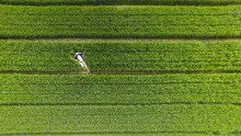 "Chinese fishermen were catching fish in the reservoir and enjoying their cozy lives, while farmers were ready to harvest their grains," said photographer Ambrose Lune of this image.