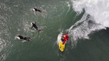 On the north west coast of Italy, Santa Claus arrives by surfboard.