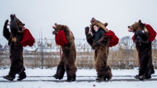 Toloaca's troupe of bears dance their way single-file through Comăneşti town, stopping at private homes where they've been invited to perform. December 28, 2014. Comăneşti town, Bacău county, Romania.