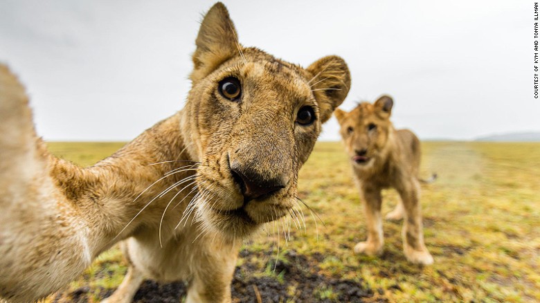 RESTRICTED: Images found in Africa on Safari by Kym and Tonya Illman, Papadakis Publisher, RRP $65, available in all good bookstores and online at https://www.kymillman.com/africa-on-safari/. DO NOT USE EXCEPT IN CONNECTION WITH STORY ON THE BOOK