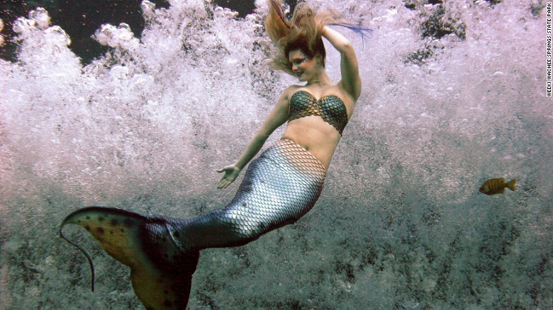 A mermaid grins and bears it while performing in chilly water at  Weeki Wachee Springs.