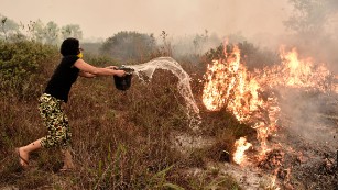 A villager tries to extinguish a peatland fire on the outskirts of Palangkaraya city, Central Kalimantan on October 26, 2015. For nearly two months, thousands of fires caused by slash-and-burn farming in Indonesia have choked vast expanses of Southeast Asia, forcing schools to close and scores of flights and some international events to be cancelled.