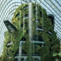 Cooled Conservatories 