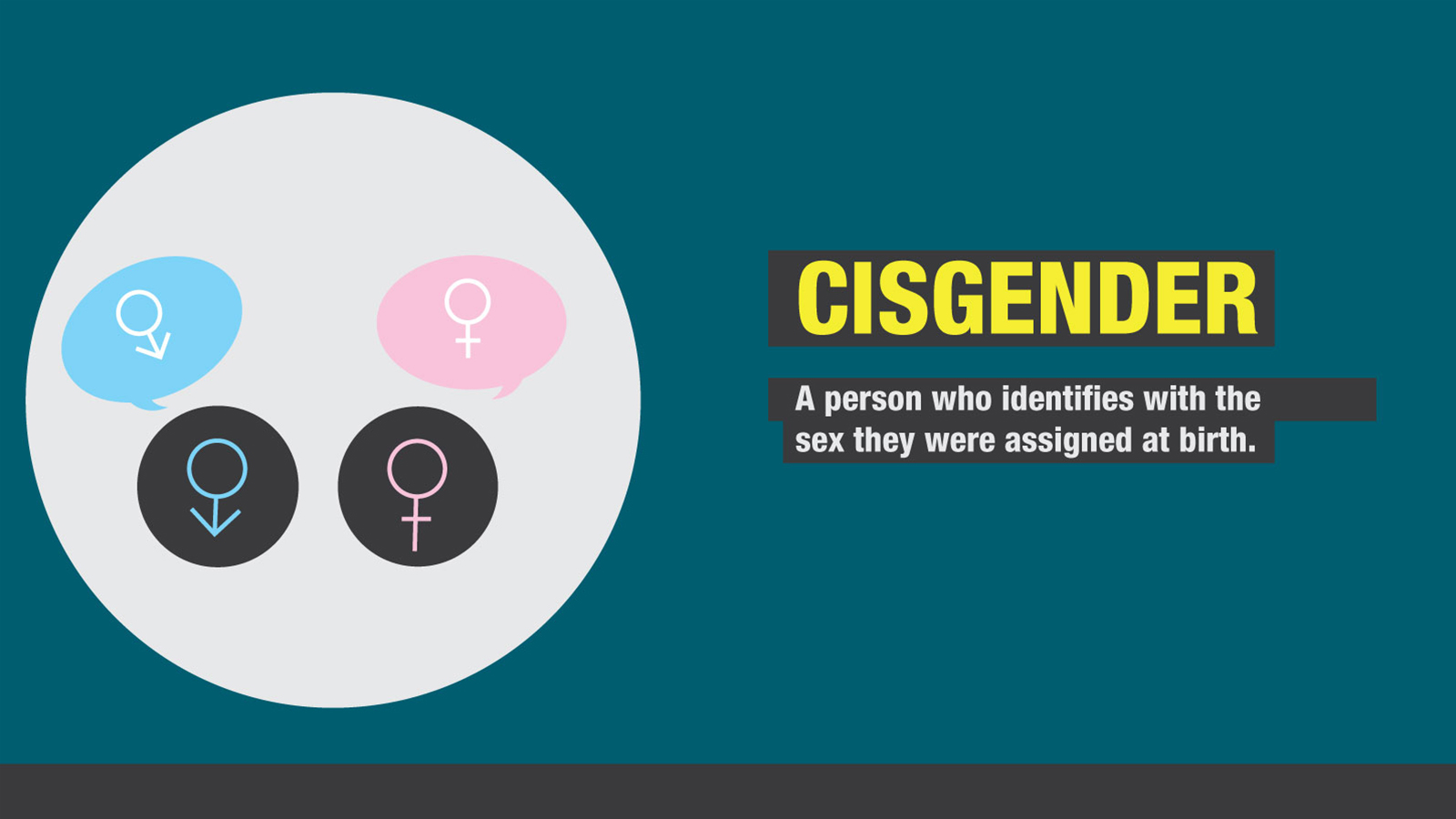 151106113427-gender-sexuality-cisgender.