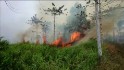 Indonesia fires intentionally set to grow palm oil