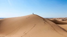 The Great Pit of Carkoon, home to the sarlacc that eats Jabba's prisoners in "Return of the Jedi," was filmed in Arizona rather than Tunisia.