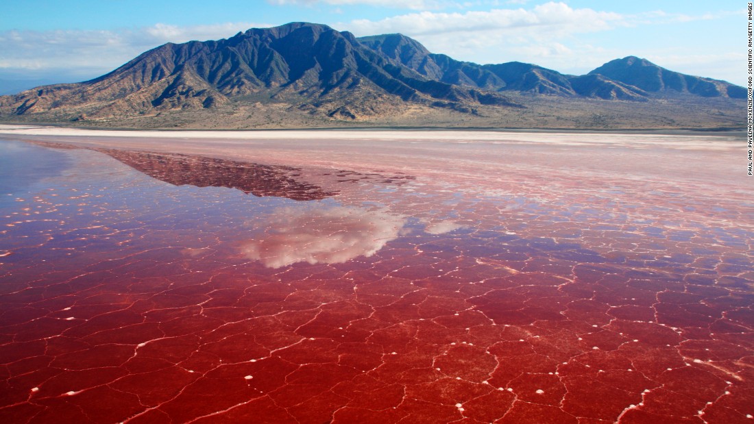 how hot is lake natron