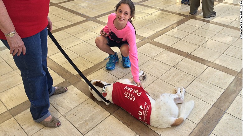 Therapy dogs from Los Angeles International Airport&#39;s PUP program (Pups Unstressing Passengers) give fliers something to smile about at the airport.