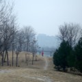 beijing smog 1207 3