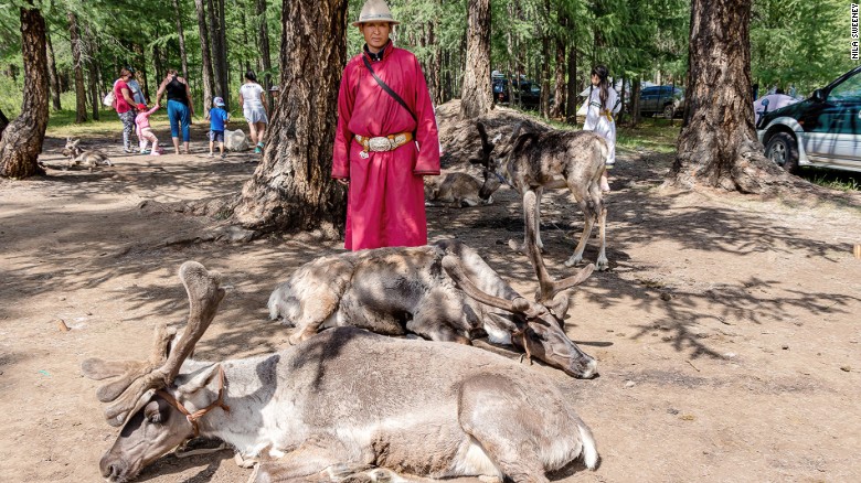 Some have accused the Dukha of abusing the reindeer for profit. 