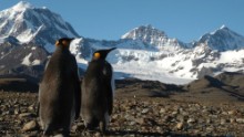 Located in the south Atlantic, South Georgia Island is a stopover on many Antarctica expeditions. Its tundra is filled with colonies of thousands of noisy king penguins.