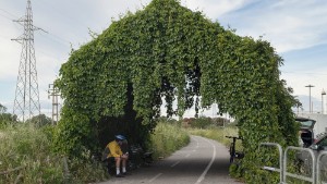 South Entrance to Tiber Cycling Lane. It is located near the 28th GRA exit (Ostiense - Via del Mare).