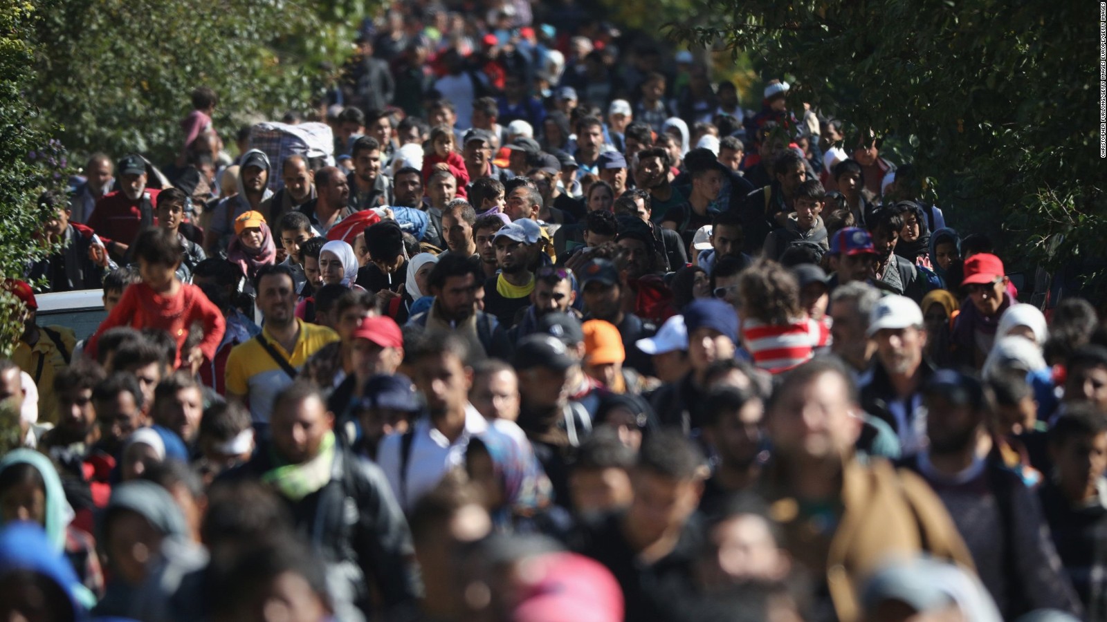 Hundreds of migrants walk on the border between Hungary and Austria in September 2015.