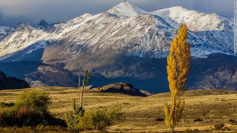 Parque Patagonia: Spectacular Chile.