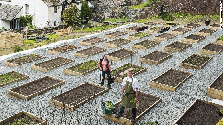 Head chef Kevin Tickle and head gardener Catherine Walsh among the Forest Side&#39;s raised beds. 