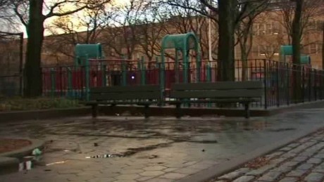 5th teen in custody over alleged gang rape at  NY  playground