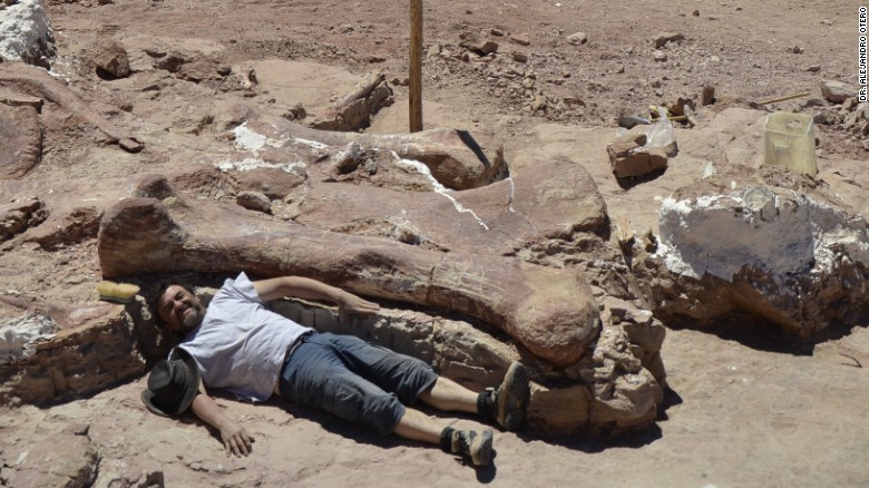 Dr. Alejandro Otero poses next to a piece of the new titanosaur species discovered in Argentinian Patagonia in 2014.