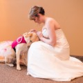 04.service-dog-bride