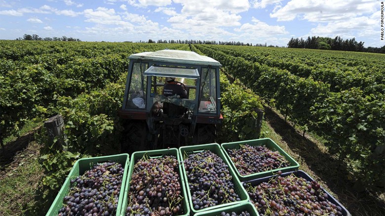 Uruguay is South America&#39;s fourth largest wine producer, with the majority of its vineyards and wineries located in the hills north of Montevideo. 