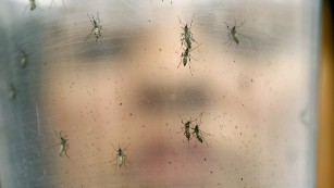 CDC issues new safe-sex guidelines around Zika virus