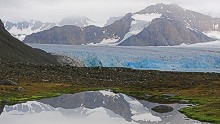  "Agreeing to Arctic drilling is a bad decision and a mistake," says Susan Adie, wildlife activist and G Adventures operations manager. Sub-sea oil exploration could, she says, present a threat to the rare beluga, blue and bowhead whales that use these waters.
