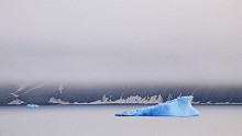 The High Arctic is an ice-bound desert that supports a fragile ecosystem. Environmentalists warn it's under threat from global warming as summer ice melts reach record levels.
