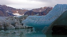 Multi-year ice -- often formed over centuries -- is a rich source of nourishment for the entire Arctic food web. Its recent decline spells trouble for the region's fauna.