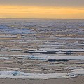 Landscape-4