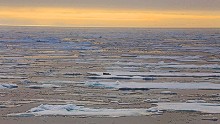 In 2015, the multi-year ice has receded far north, allowing us to press deeper into the Arctic than expected.